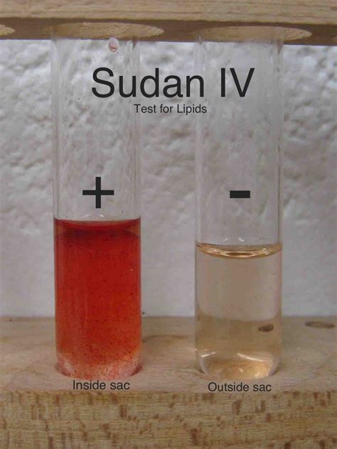 sudan iv test for|sudan 111 test.